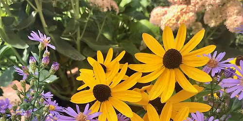 Welcome to Gardening in WNC - What You Need to Know!