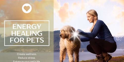Energy Healing for Pets in NW Portland