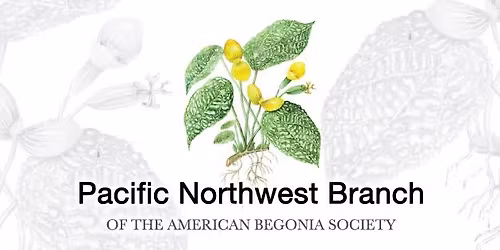 October PNW Begonia Meeting - SEA