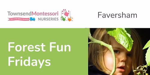 Forest Fun Fridays