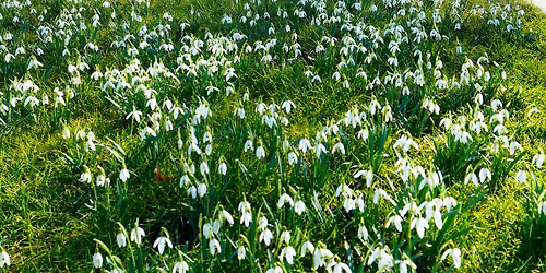 A quiet day with + Adrian Newman  'Decomposing '