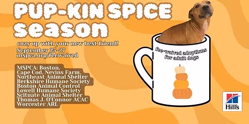 Pup-Kin Spice Season: Fee-Waived Adult Dog Adoptions!