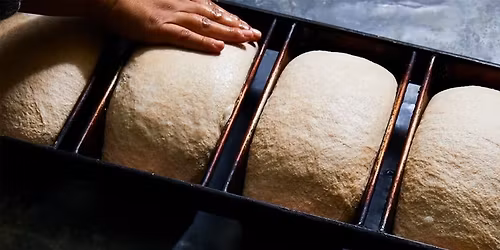 Sourdough Bread Baking