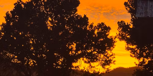 Dreamzines: Art Journaling & Dreams into the Light of the New Year! 