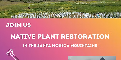 Friday Restoration: Cheeseboro Canyon - Cactus Scrub\/Coastal Sage Scrub