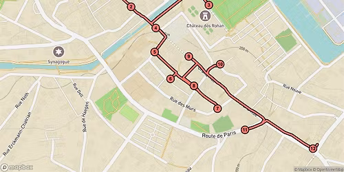 Saverne Audio Tour: Castles, Roses, and Timeless Streets Unveiled