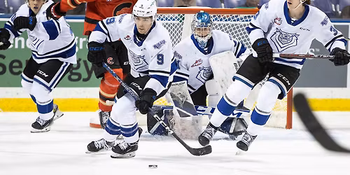 Victoria Royals vs. Prince George Cougars
