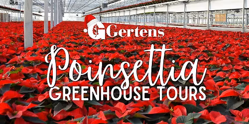 Gertens Poinsettia Greenhouse Tour