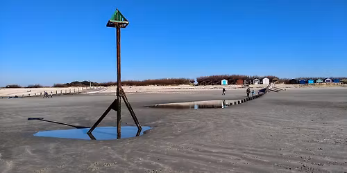 Charity Conkers @ The Shore