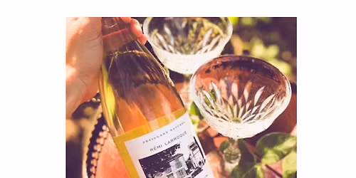 Diving Into Winter Reds