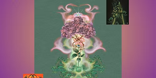 Purification of the Womb