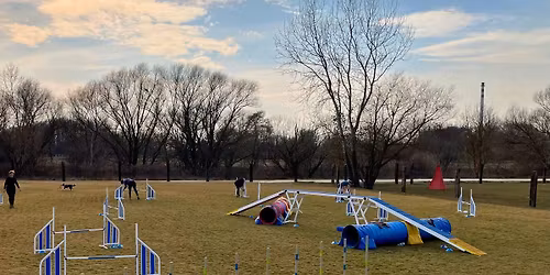 Novembrov\u00e9 agility hry