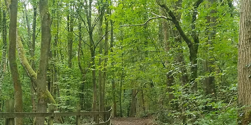 Practical Conservation 