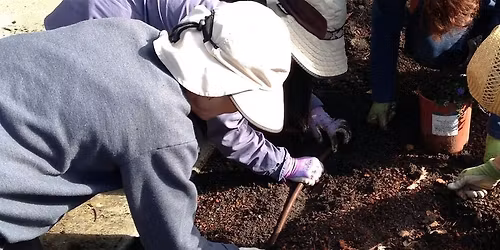 November Tour of Elizabeth Gamble Garden