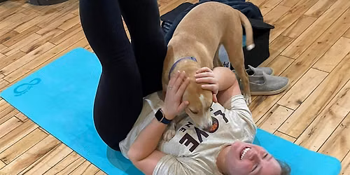 Doggy Noses & Yoga Poses at Connecticut Valley Brewing Company