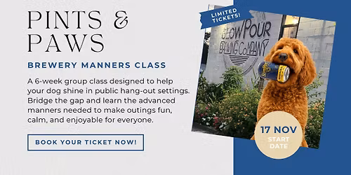 Pints & Paws Manners Class