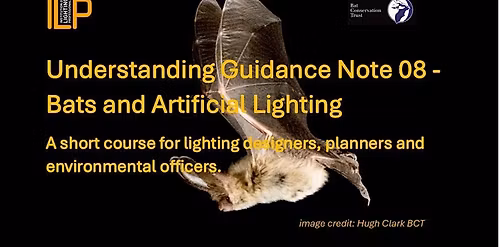 ILP Course: Bats and Artificial Lighting - Rugby