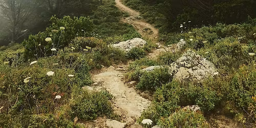 Journeys of the Spirit