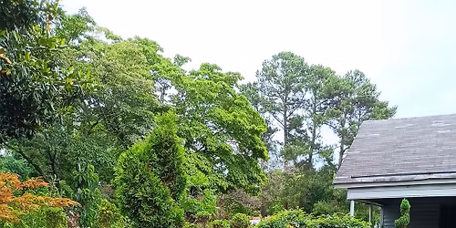 Dogwood Festival (Fayetteville NC) 