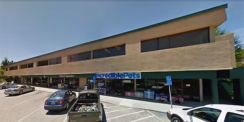 Grass Valley - Dog dental cleaning