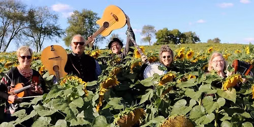 Concert Series - Tapestry String Band