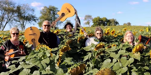 Concert Series - Tapestry String Band