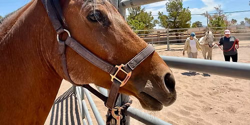 2026 STABLE Series