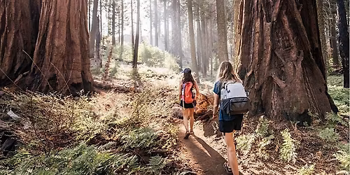 Tourism & Hospitality Workshop | Fall 2025