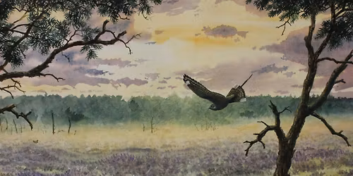 Learn to draw and paint landscapes with Steve Cale