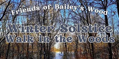 Winter Solstice Walk in the Woods