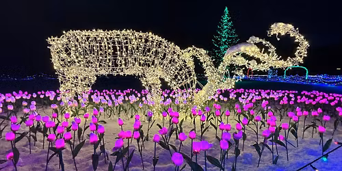 Winter Wonders @ Sandy Hill Farm 2025