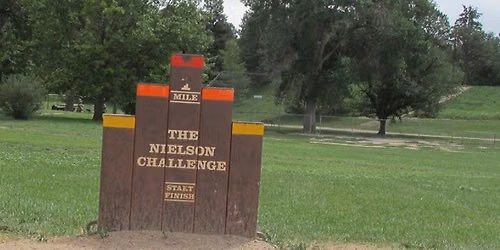 Nielson Challenge