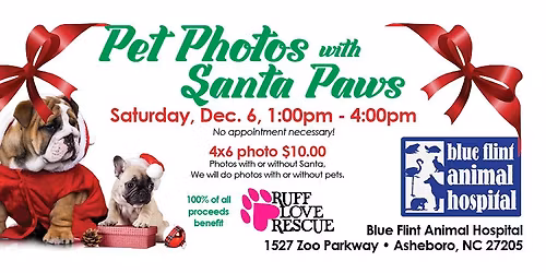 Pet Photos with Santa Paws