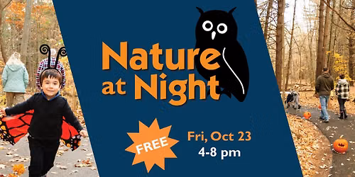 Nature at Night