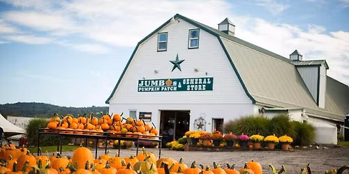 Fall Festival At Jumbos Pumpkin Patch