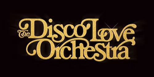 The Disco Love Orchestra Live