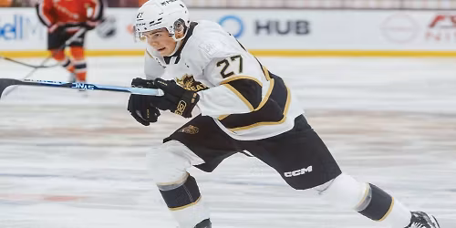 Brandon Wheat Kings vs. Medicine Hat Tigers