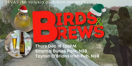 Birds & Brews - Smyrna Dunes Park\/Tayton O'Brians