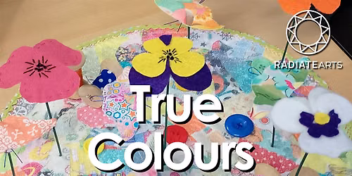 True Colours LGBTQIA+ Sewing: Creating Pride Shields