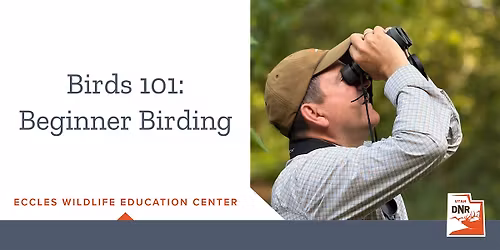 Birds 101  - Beginner Birding