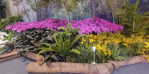 24th World Orchid Conference