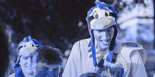 Blue & White Night
