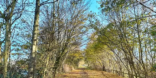 Volunteer day at the Lymm Railway Line