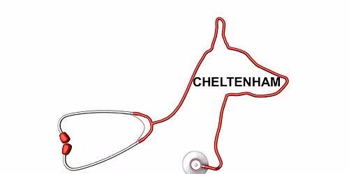 CANINE HEALTH & FIRST AID CHELTENHAM HELD OVER 2 EVENINGS 9TH & 11TH JUNE