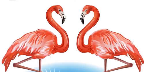 Flowers & Flamingos Spring Market 2026