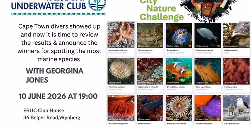 City Nature Challenge Review with Georgina Jones