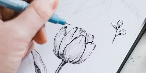 Botanical Sketching