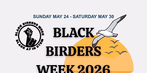 Black Birders Week - Jacksonville