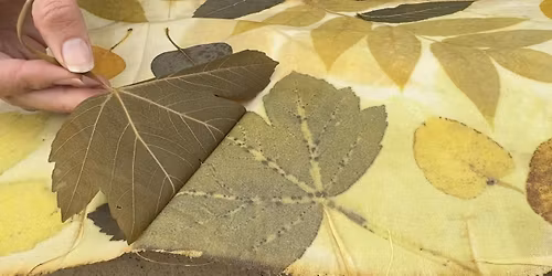 Fall Foliage to Fashion: Leaf Printing Workshop