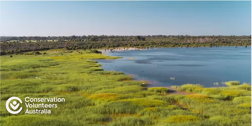 Watering & Weeding at Forrestdale Lake 
